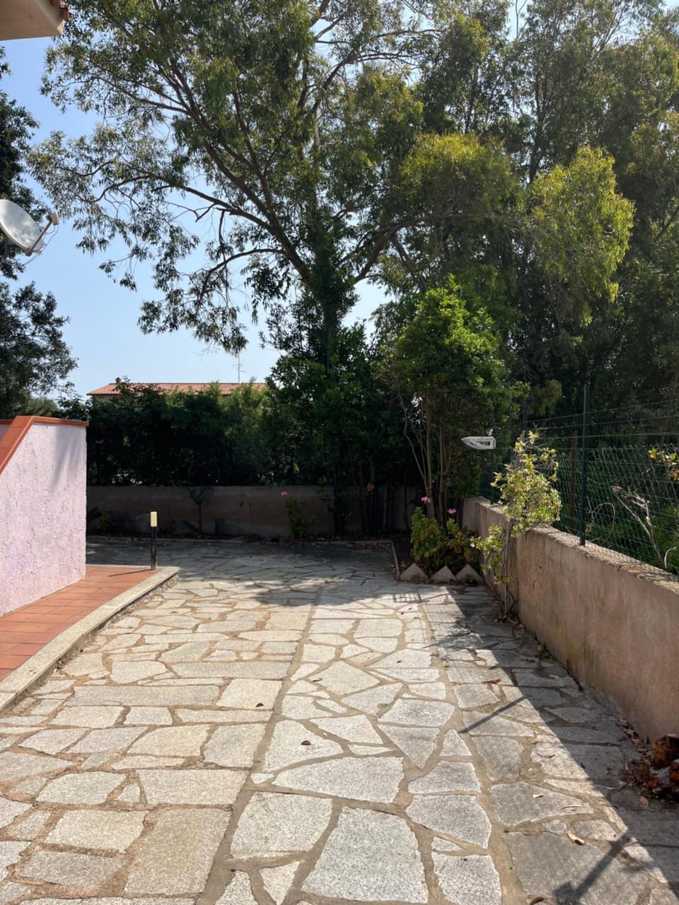 Day, Garden