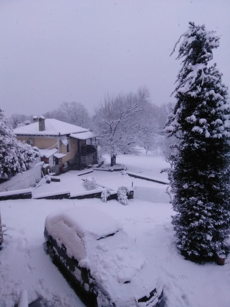 Property building, Natural landscape, Winter