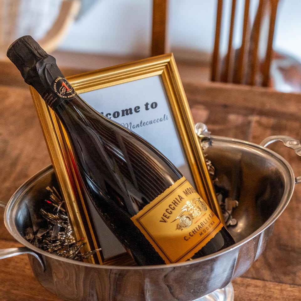 Luxe Paradise - 4 person, Historic Center Apartment in Modena