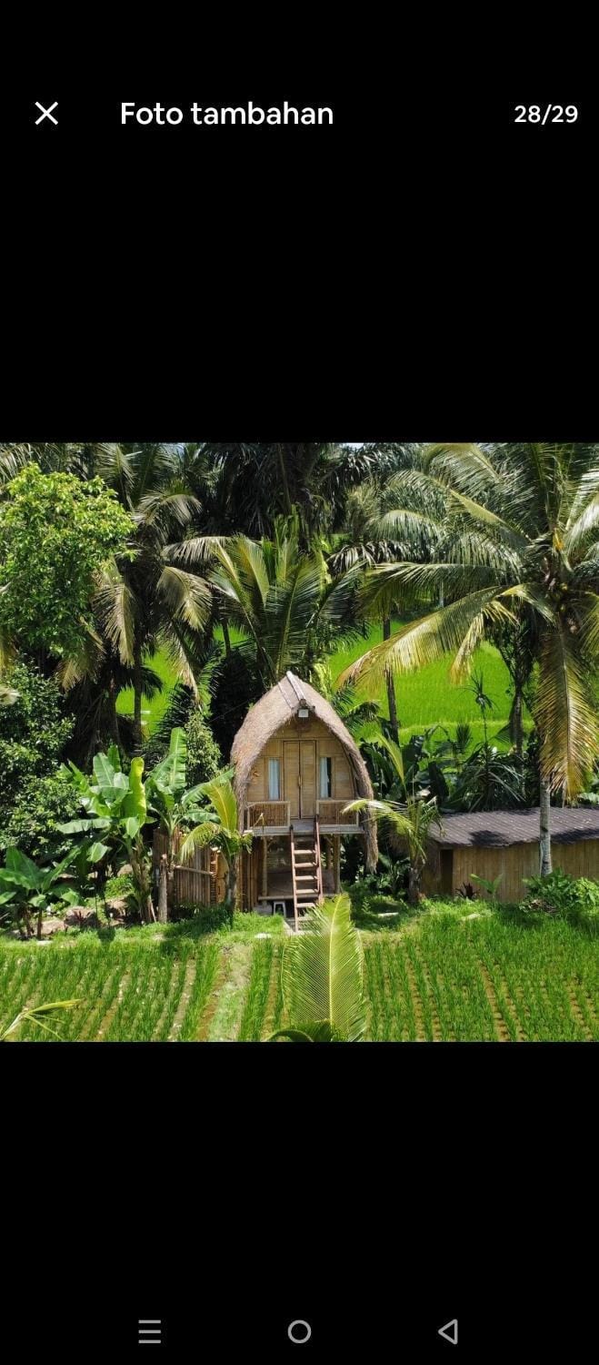 Luna bamboo house Bed and Breakfast in Tampaksiring