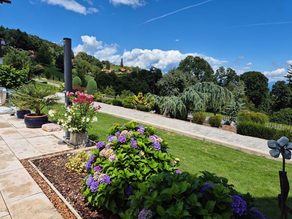 Natural landscape, Garden, Garden view