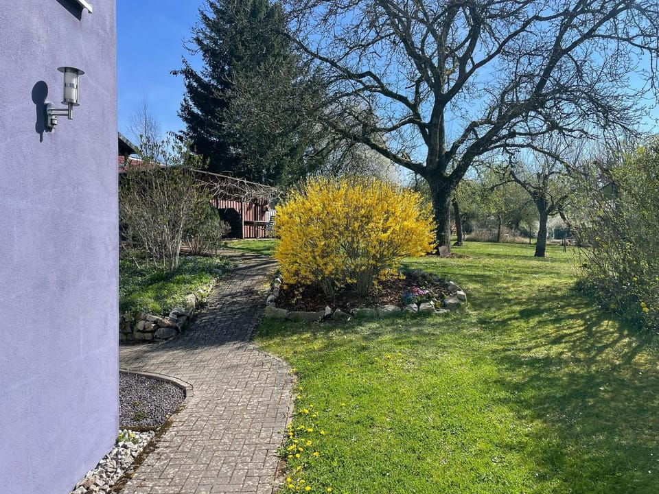 Ferienhaus Haus Auenland Apartment in Nohfelden