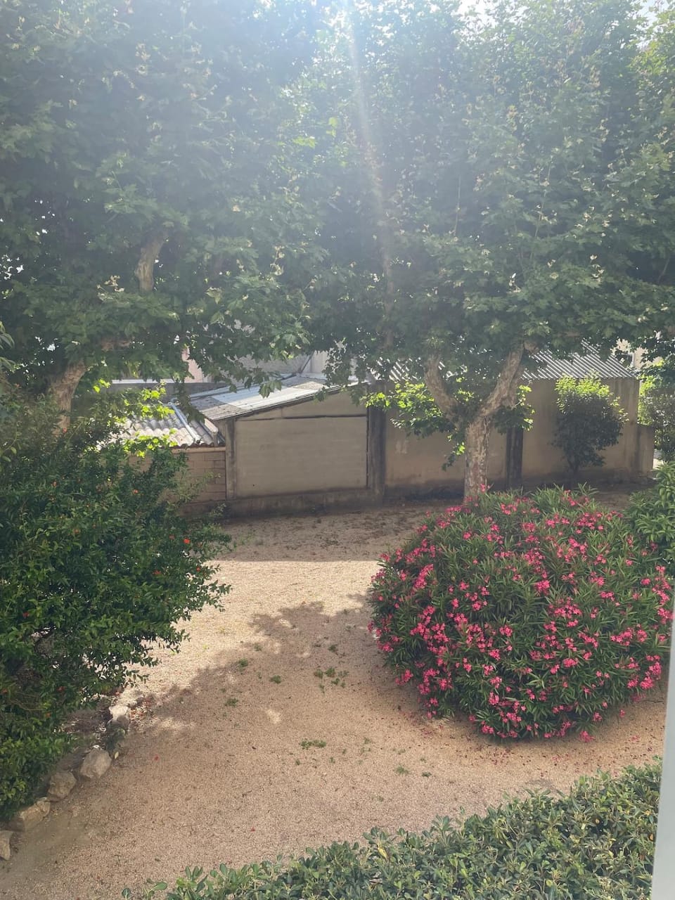 Garden, Garden view