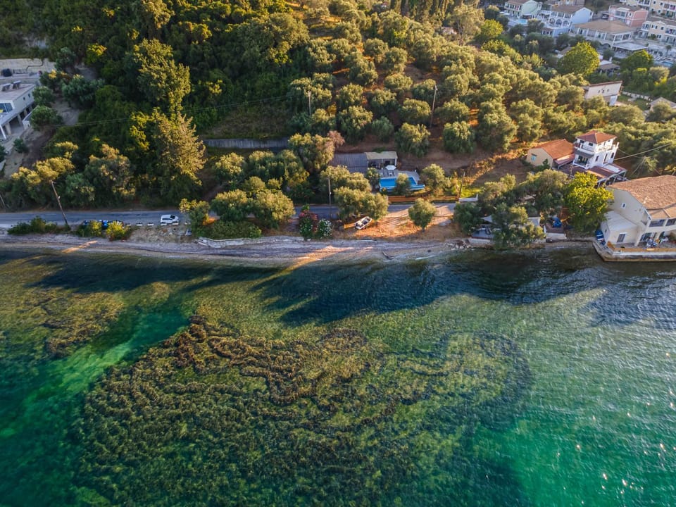 Neighbourhood, Bird's eye view