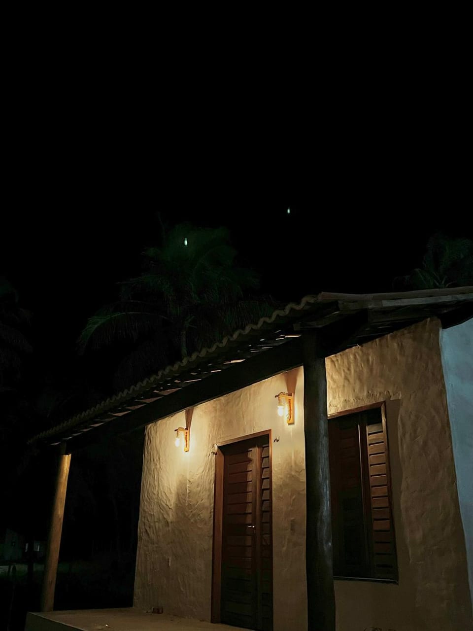 Night