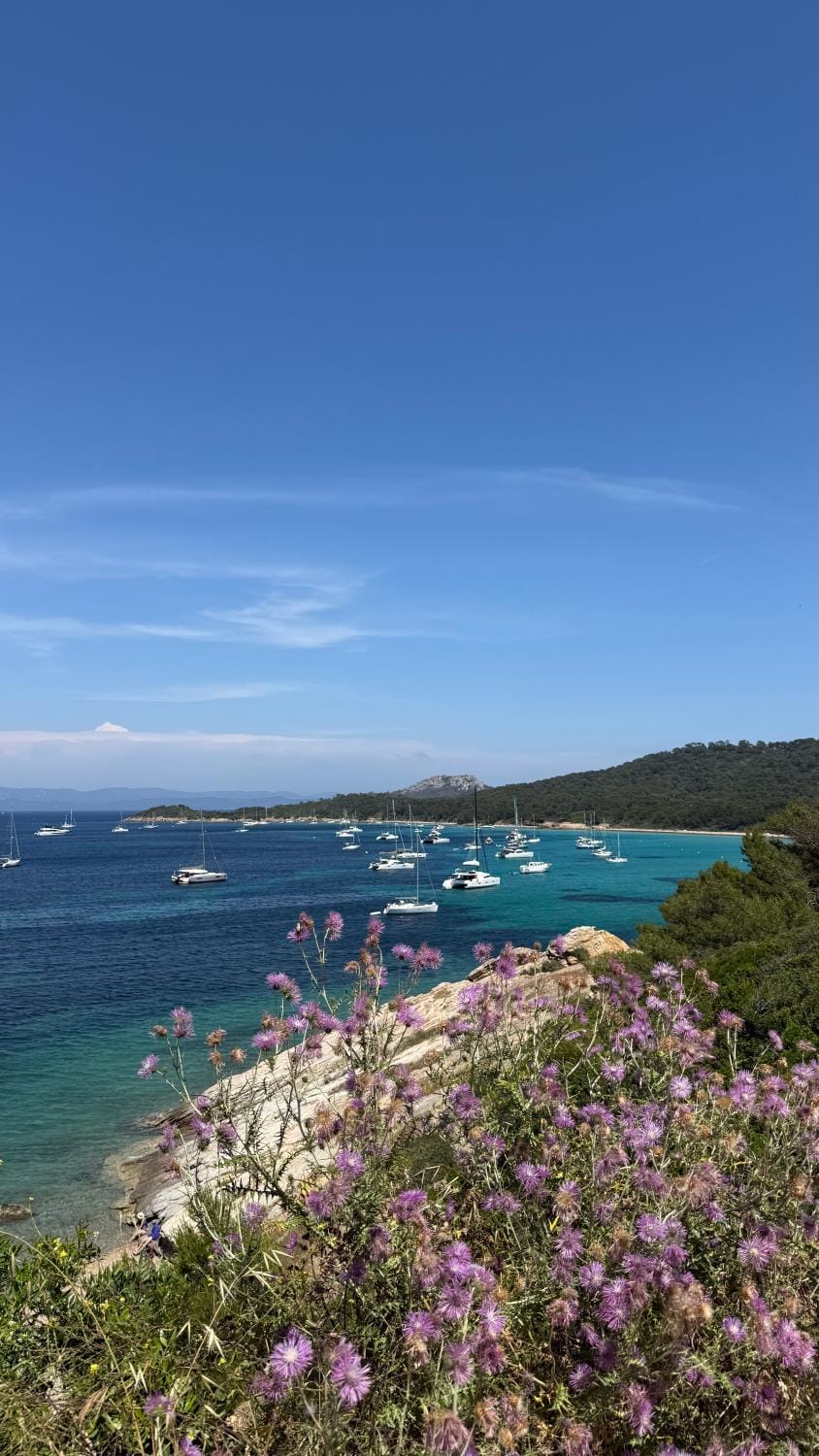 Le Clair d Eau Apartment in La Londe-les-Maures