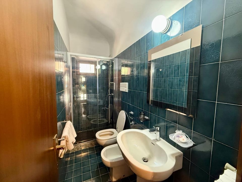 Shower, Toilet, Bathroom, bidet, towels