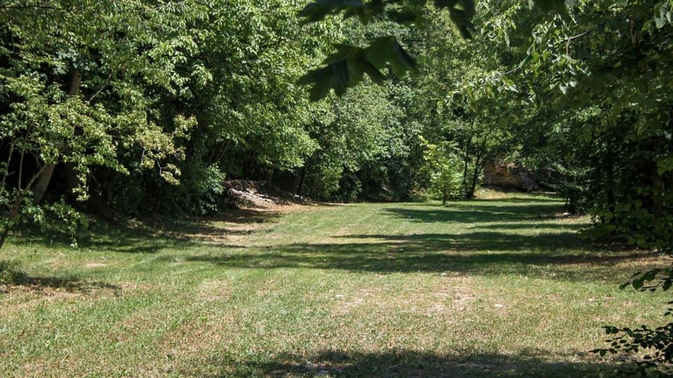 Day, Natural landscape, Garden, Garden, Garden view
