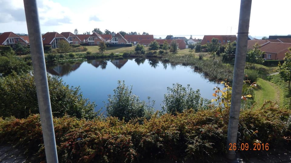 Lake view