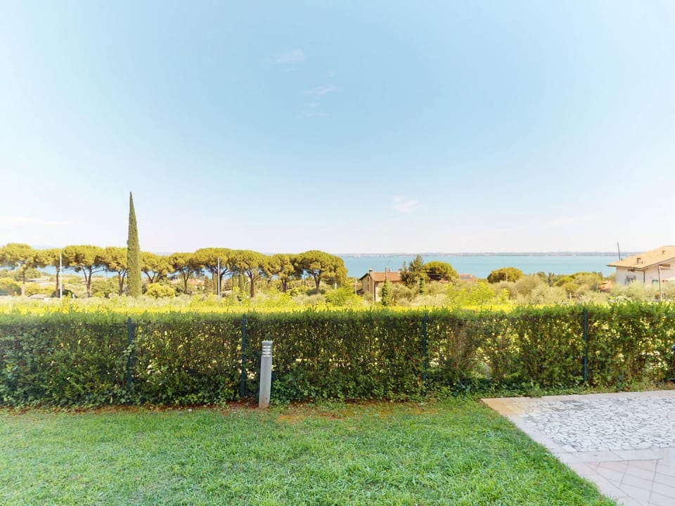 Patio, Garden, Garden view