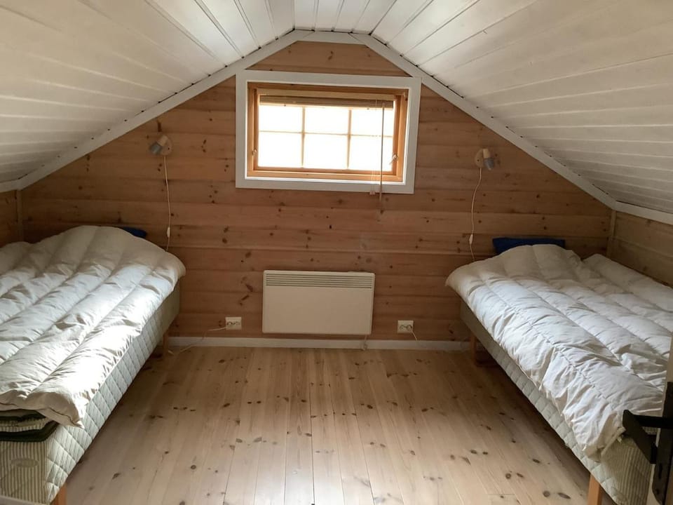 Skarvegløtt Ski in Ski out House in Viken, Norway