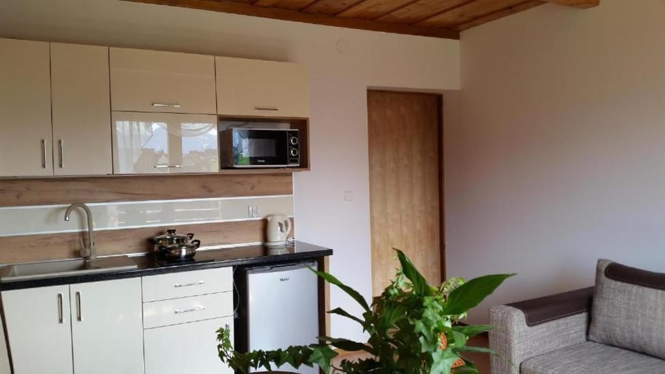 Apartament z widokiem na góry 2 Apartment in Lesser Poland Voivodeship