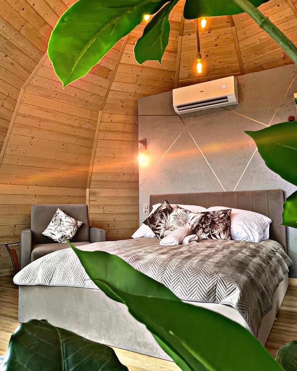 Bed, Photo of the whole room, Bedroom, air conditioner