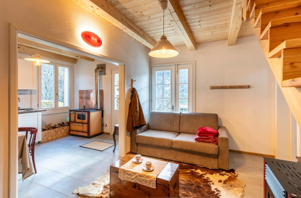 Seating area, pet friendly