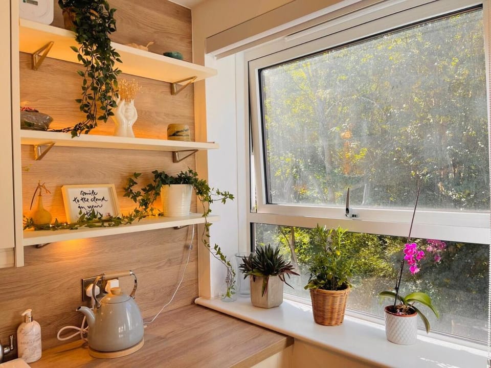 Zen Flat Next to Greenwich Park & Thames River Apartment in London Borough of Lewisham