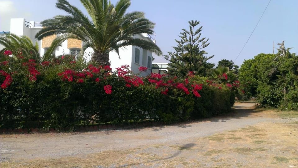 Day, Garden view