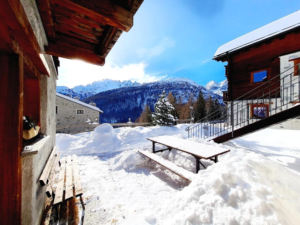 Winter, Garden
