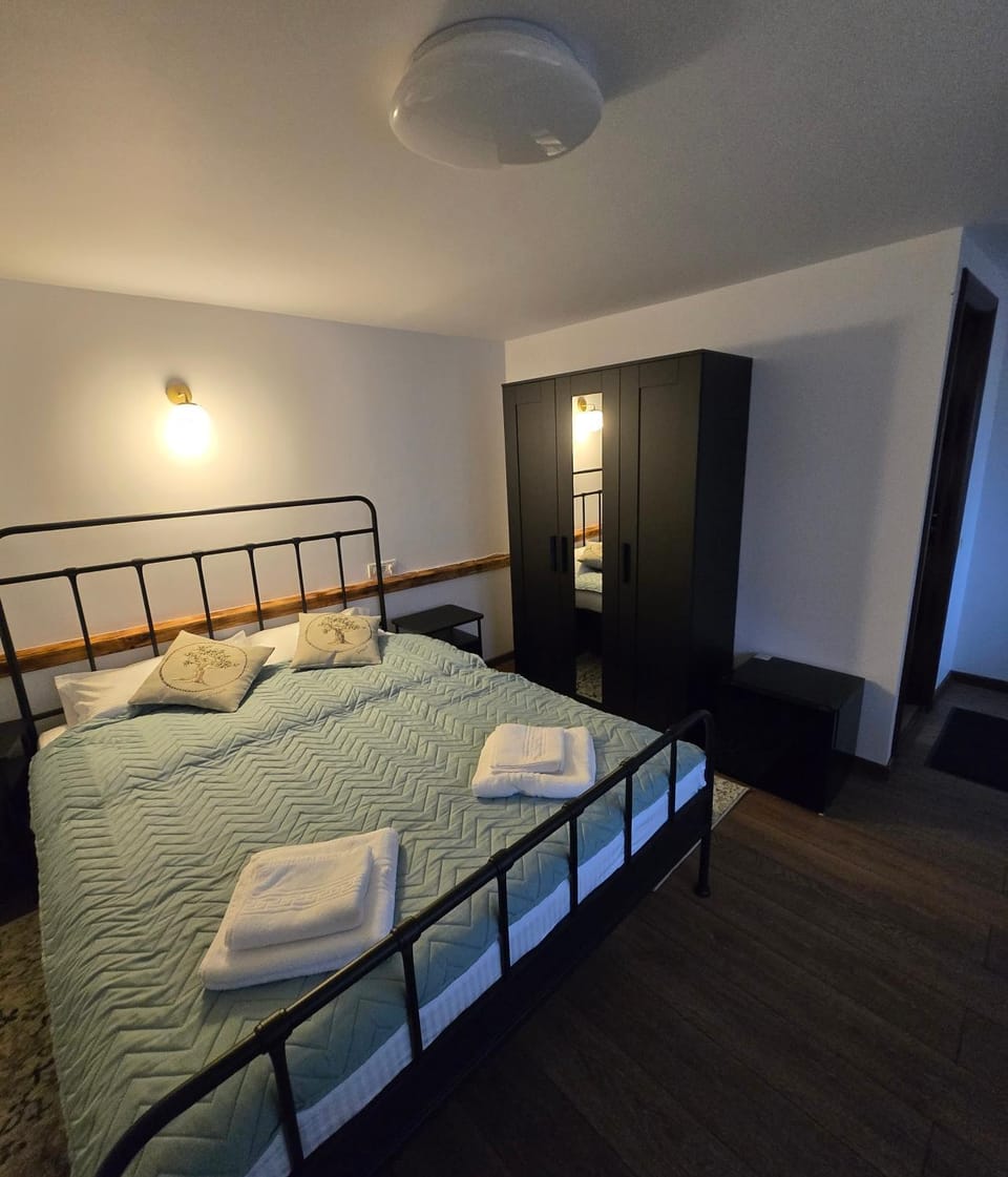 Guest house Karina Bed and Breakfast in Brașov County
