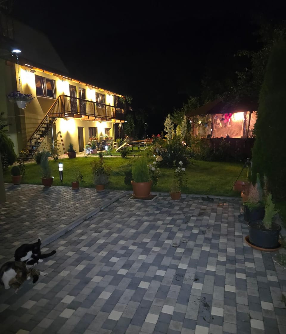 Guest house Karina Bed and Breakfast in Brașov County