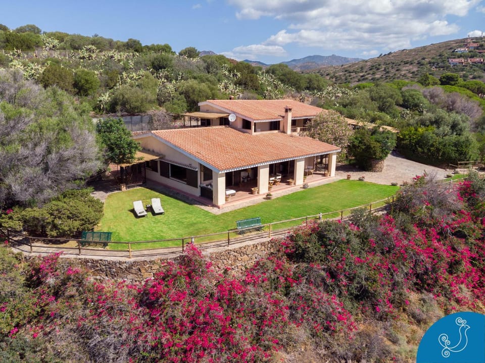 Property building, Bird's eye view, Garden, Garden view