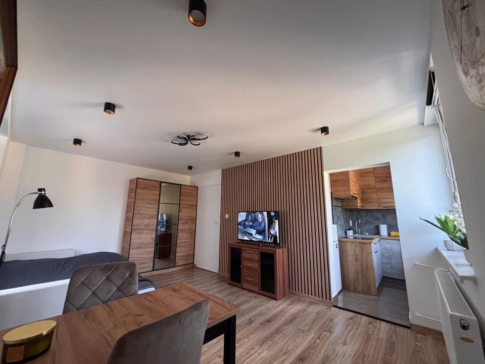 Studio 3maja Apartment in Belarus