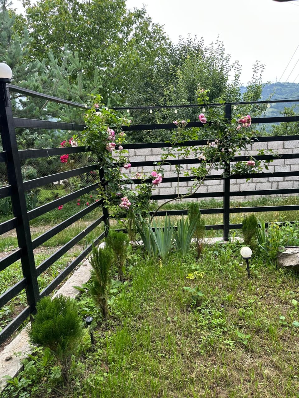Day, Natural landscape, Garden view