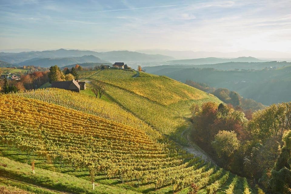 Property building, Natural landscape, Autumn, Location