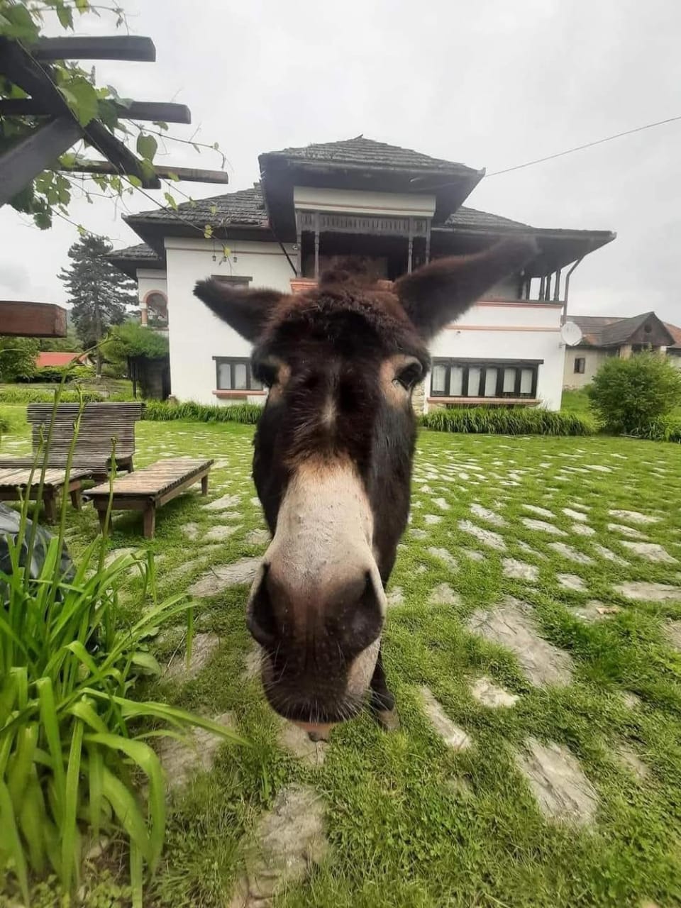 Conac boieresc La Colonelu Bed and Breakfast in Romania