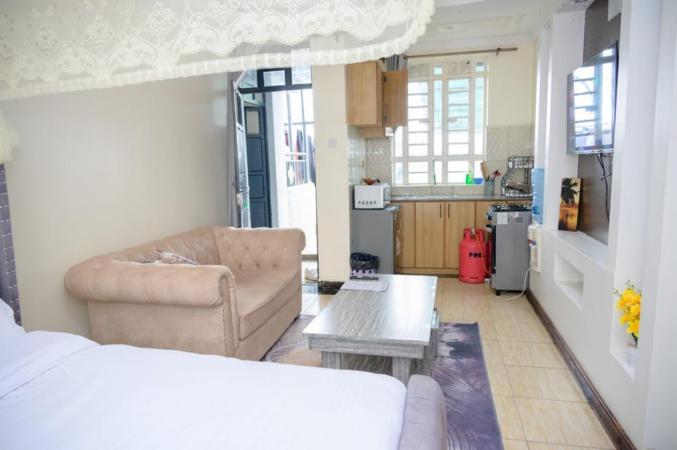 SpringStone executive STUDIO apartment A19 Apartment in Nairobi