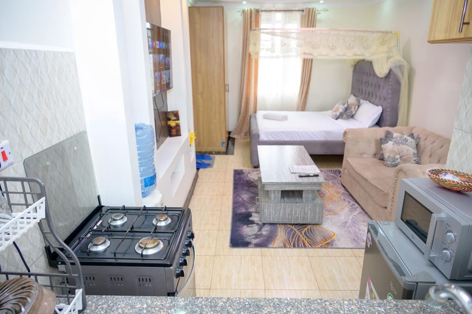 SpringStone executive STUDIO apartment A19 Apartment in Nairobi