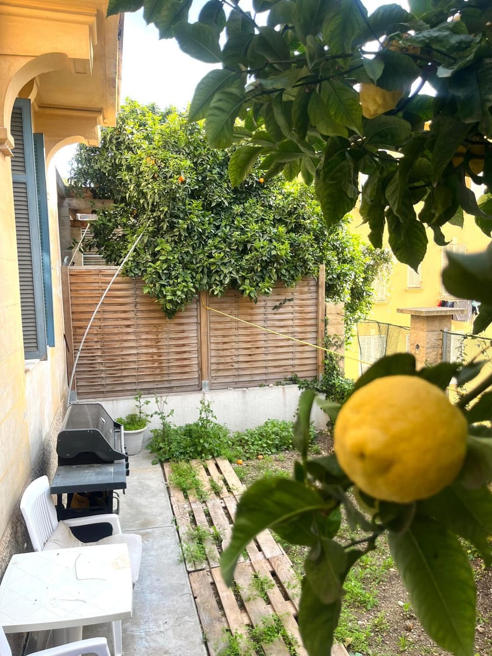 Monaco Border - Cozy 2-Bedroom Apt with Garden Apartment in French Riviera