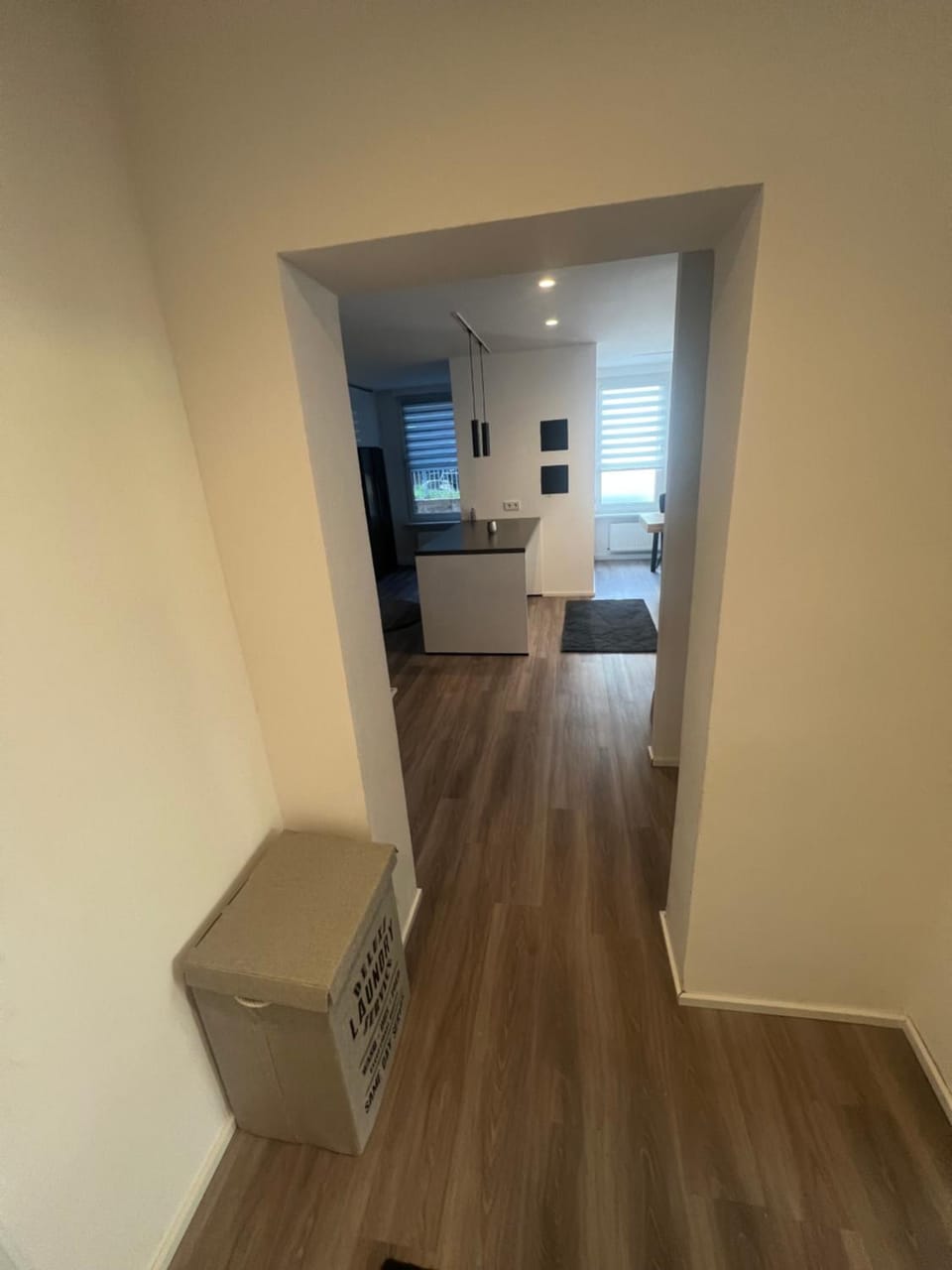 Living room, kitchen