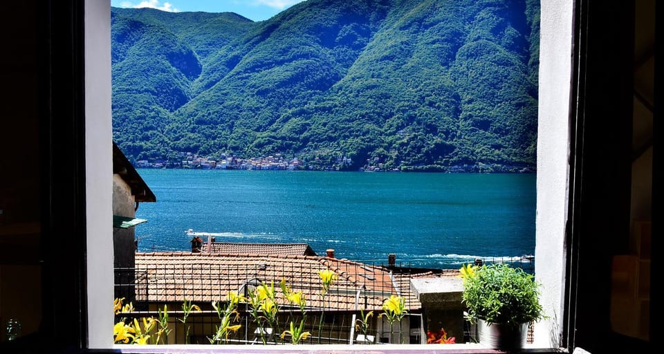 Lake view