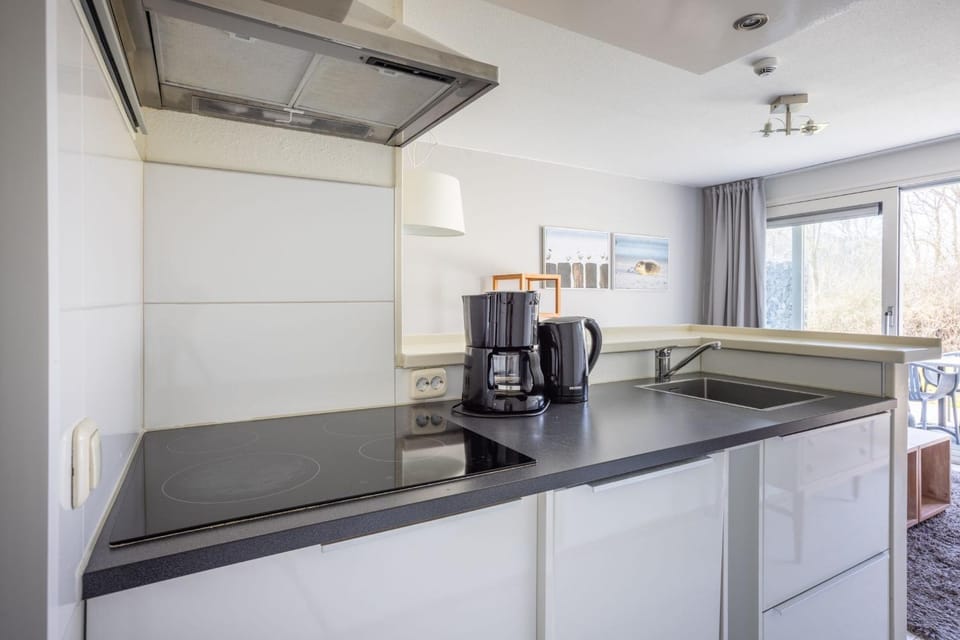 Kitchen or kitchenette, kitchen, kitchen