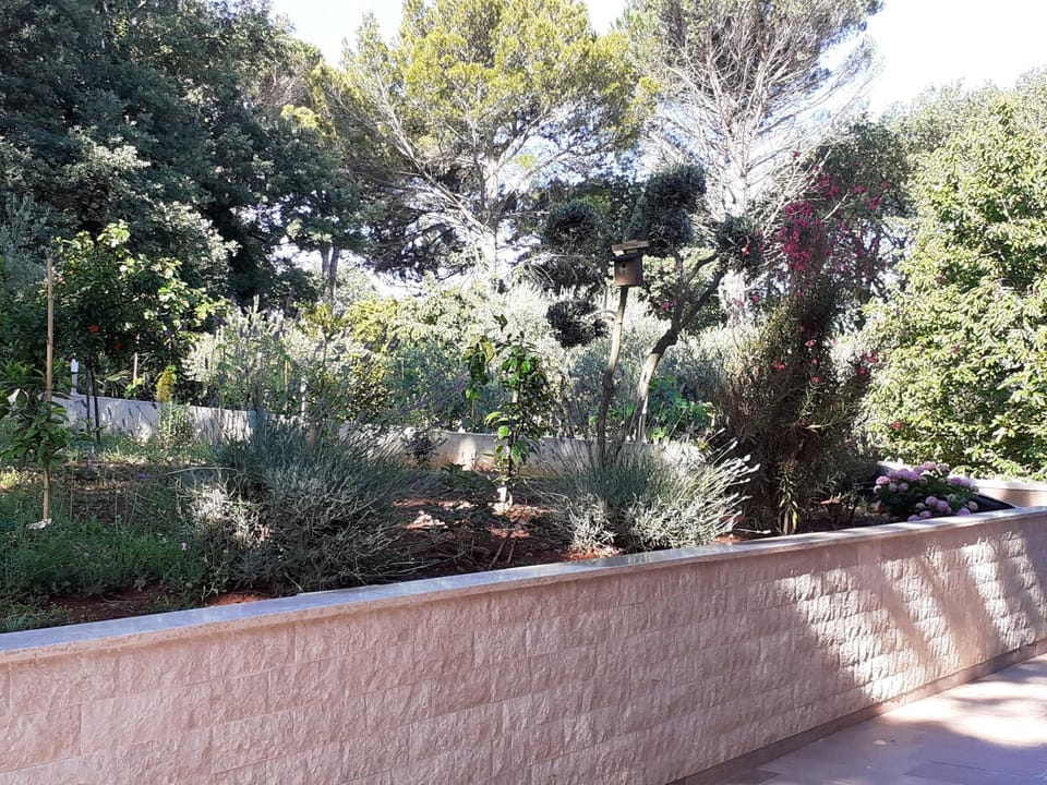 Calmaria Studio Apartments Apartment in Poreč