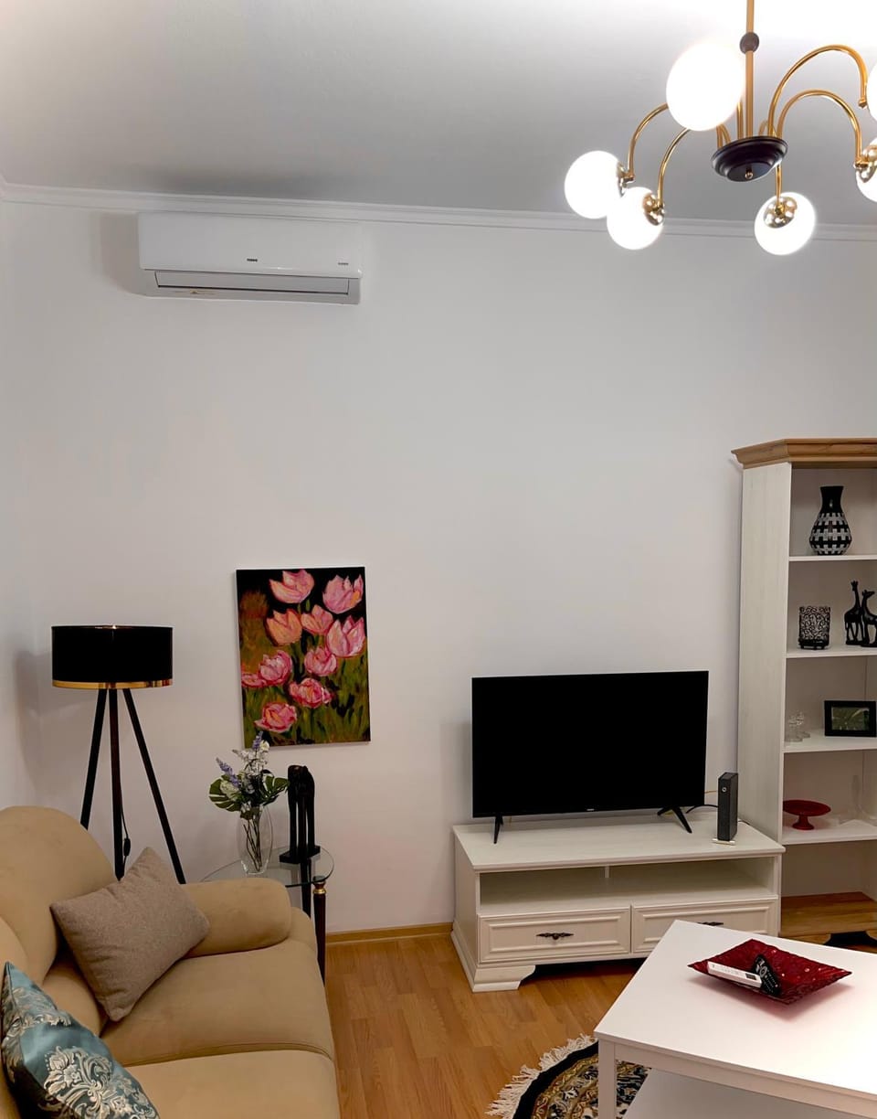 TV and multimedia, Living room, Seating area, air conditioner
