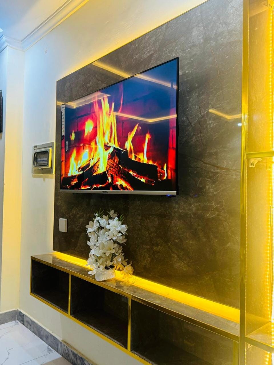 TV and multimedia