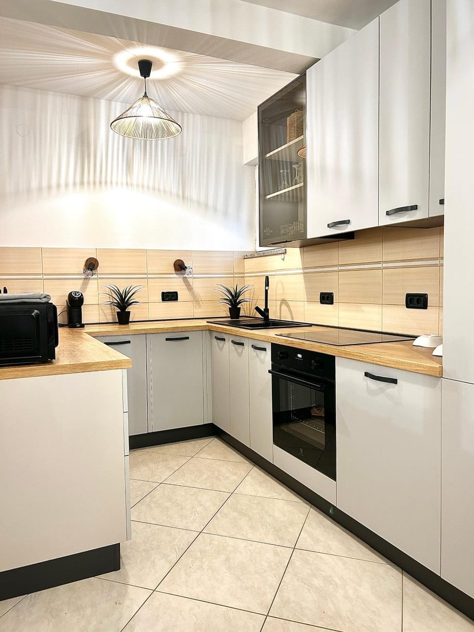 Kitchen or kitchenette, dishwasher, oven, stove
