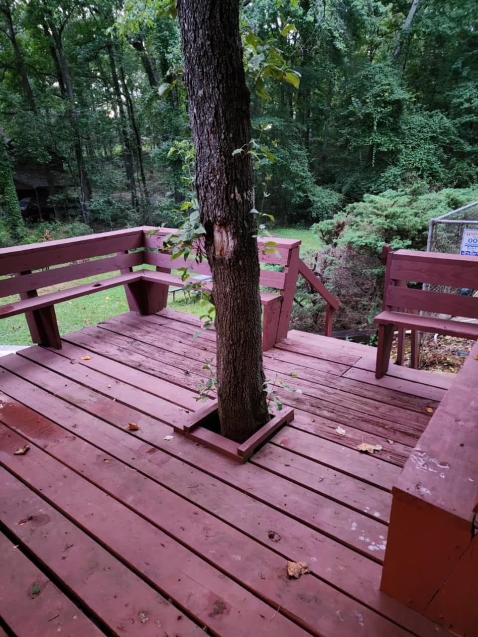 Patio, Natural landscape, Balcony/Terrace