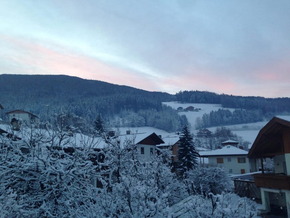 Winter, On site, Garden view