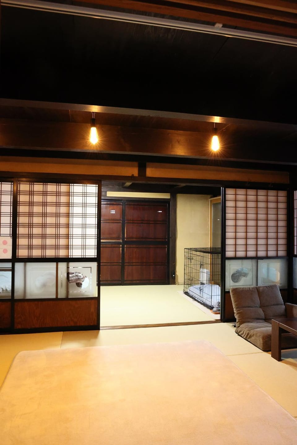 Photo of the whole room, pet friendly
