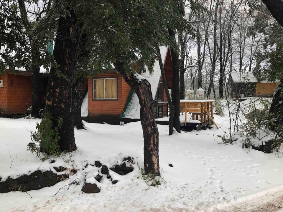 Termas de Chillan Cabaña 13 Personas 5 Dormitorios House in Bio Bio, Chile