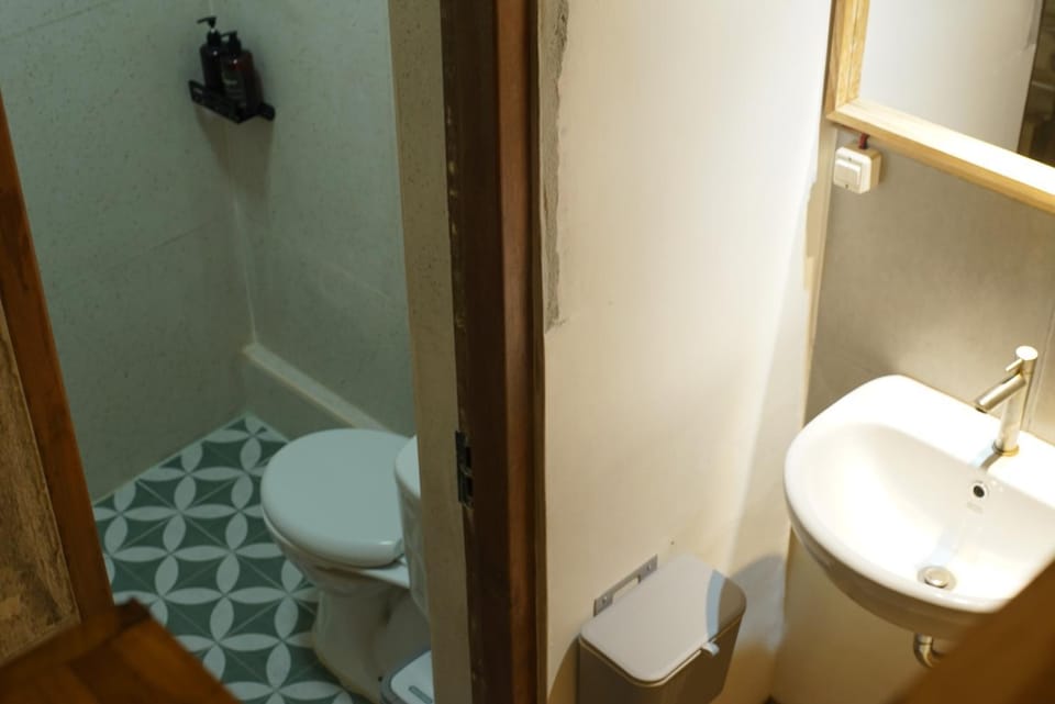 Shower, Toilet, Bathroom, bidet