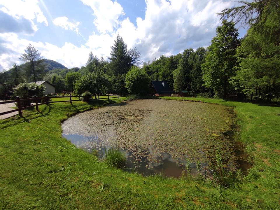 Domki nad rzeką Solinką Terka House in Slovakia
