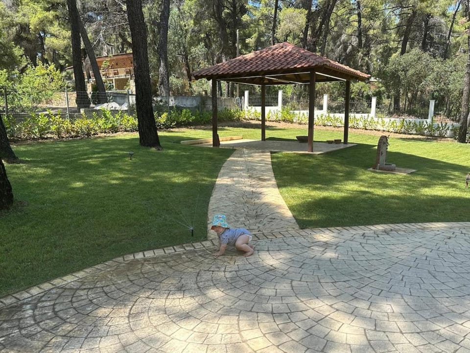 Garden, Balcony/Terrace