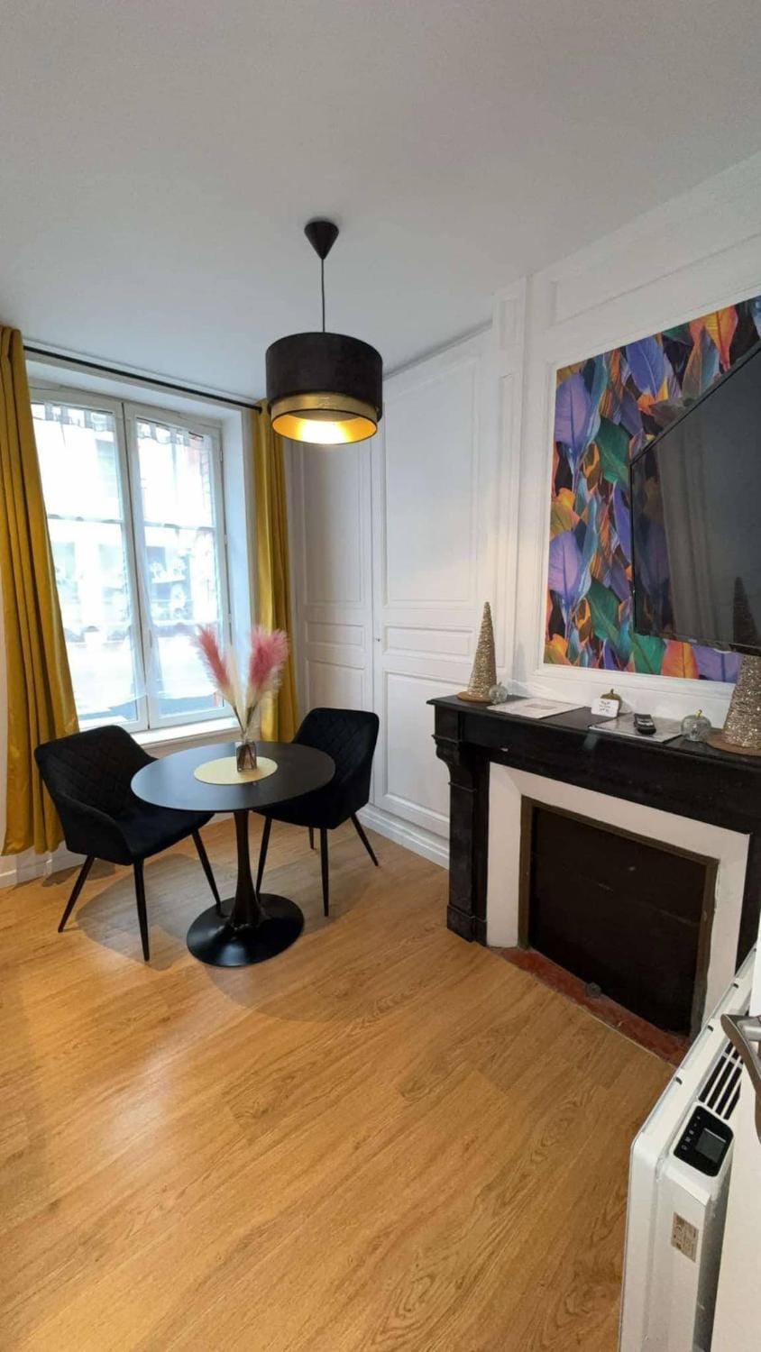 1 - Confortable studio RDC Châlons-en-Champagne Apartment in Grand Est