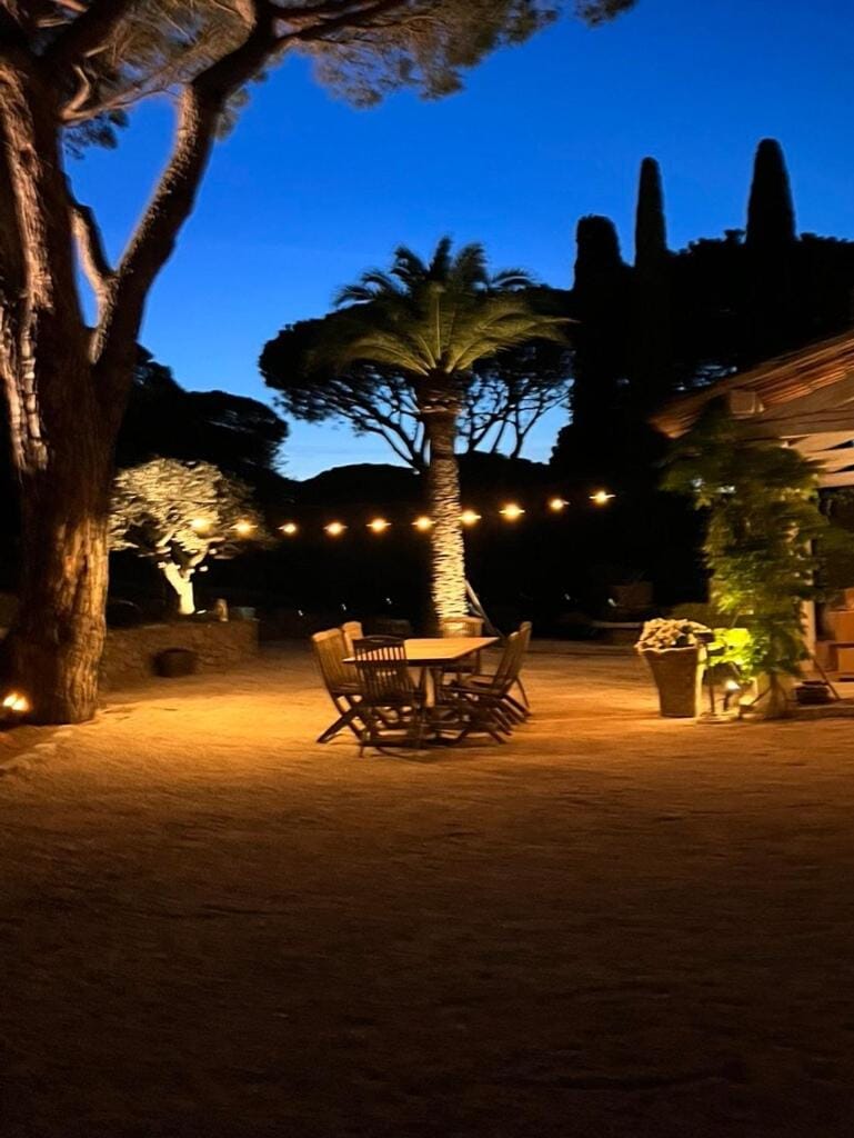 Night, Garden, Garden view