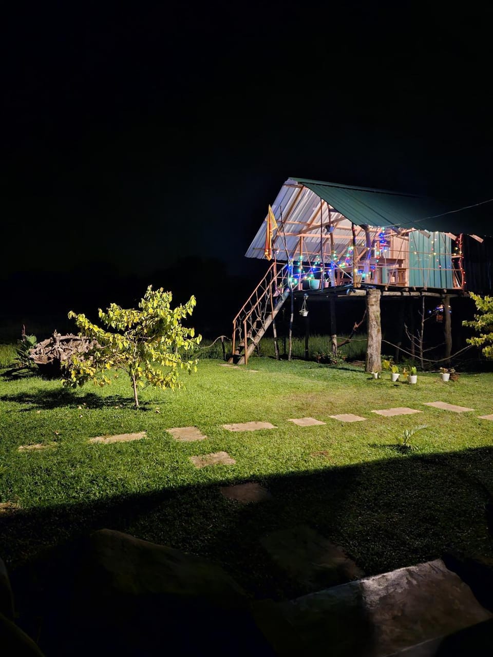 Property building, Spring, Night, Natural landscape, Garden, Garden view