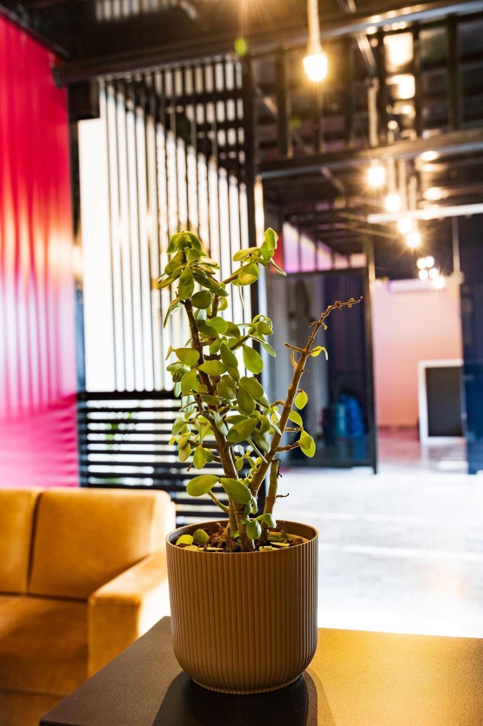 Paintaura Homestay House in Jaipur