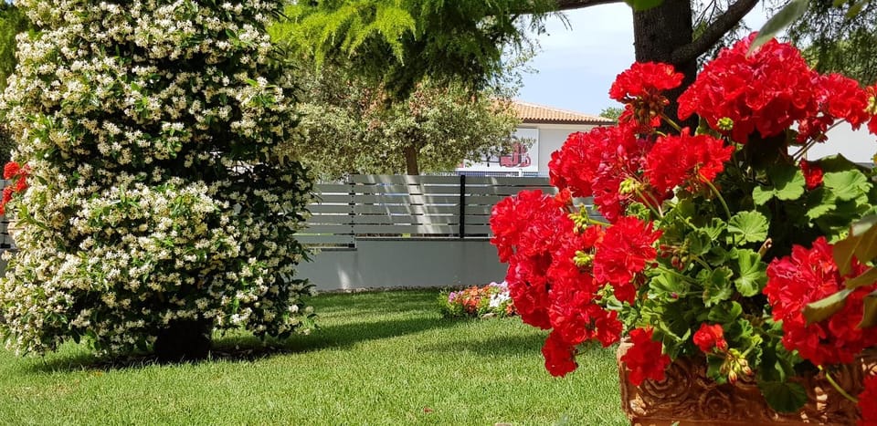 Fiori Apartment Apartment in Istria County